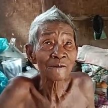 Rumah Ambruk, Warga Jember 6 Bulan Tidur Dikandang Sapi