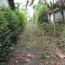 Setelah Dimediasi Penutupan Jalan Di Jember Dibuka Kembali