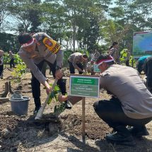 Peringati HUT Bhayangkara Ke 78 Polres Jember Tanam 1.650 Bibit Pohon