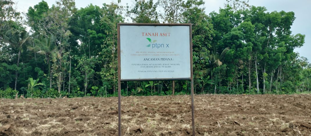 Bakal Panjang, PTPN X Selidiki Pengrusakan Lahan Di Tugusari
