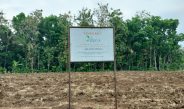 Bakal Panjang, PTPN X Selidiki Pengrusakan Lahan Di Tugusari