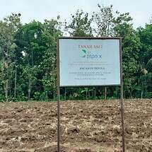 Bakal Panjang, PTPN X Selidiki Pengrusakan Lahan Di Tugusari